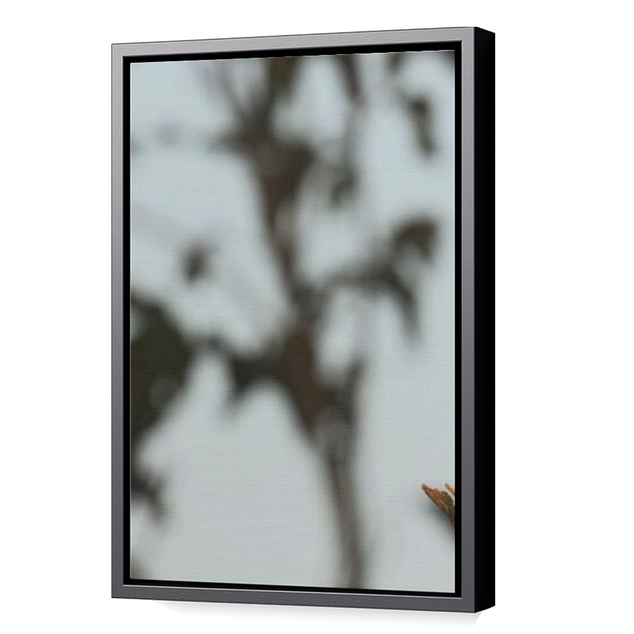 Thumbnail for Canvas - Black Floating Frame