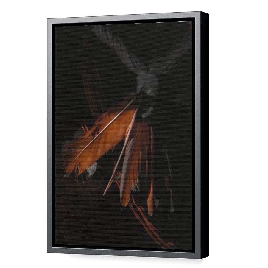 Thumbnail for Canvas - Black Floating Frame