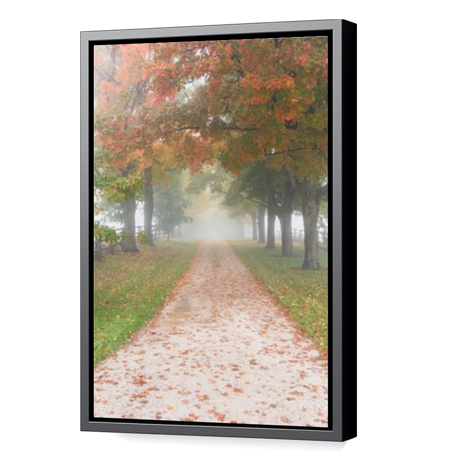 Thumbnail for Canvas - Black Floating Frame
