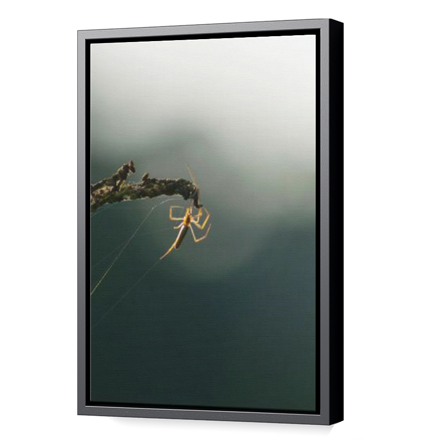 Thumbnail for Canvas - Black Floating Frame
