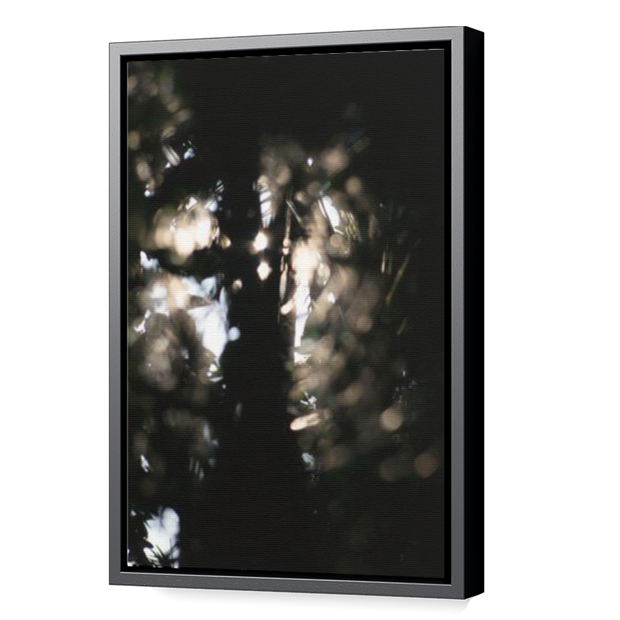 Thumbnail for Canvas - Black Floating Frame