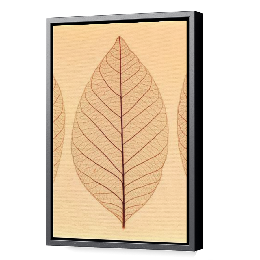 Thumbnail for Canvas - Black Floating Frame