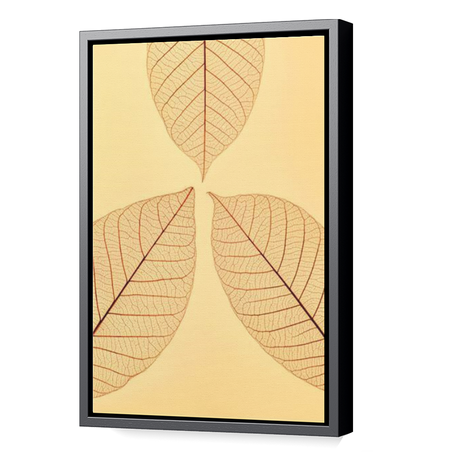 Thumbnail for Canvas - Black Floating Frame