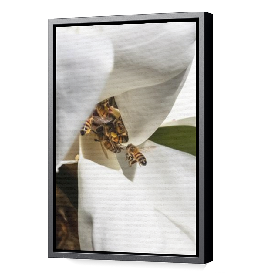 Thumbnail for Canvas - Black Floating Frame
