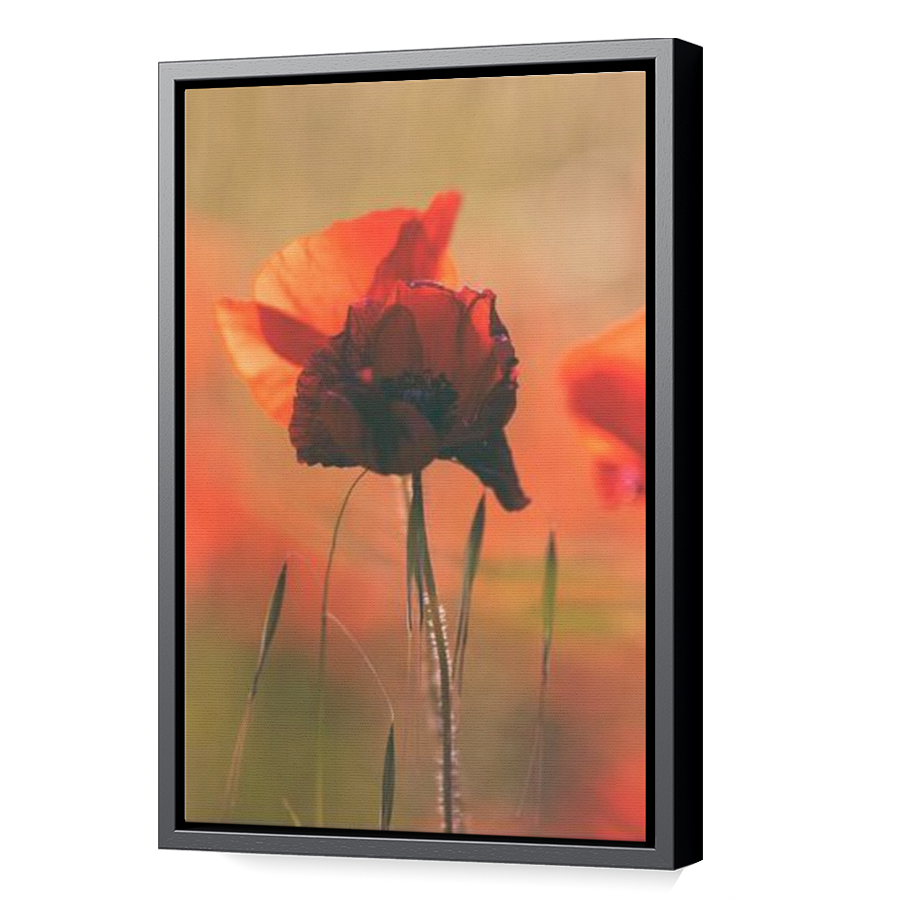 Thumbnail for Canvas - Black Floating Frame
