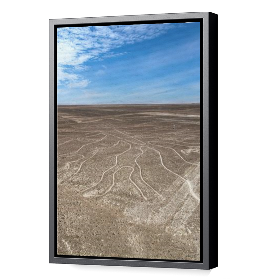 Thumbnail for Canvas - Black Floating Frame