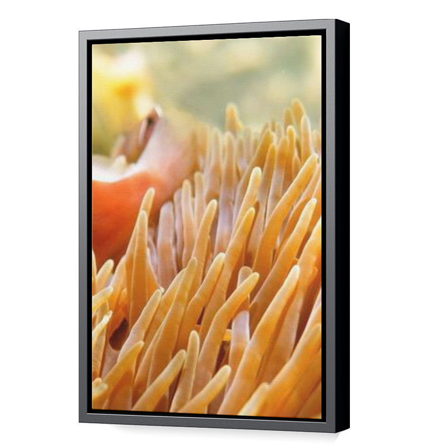 Thumbnail for Canvas - Black Floating Frame