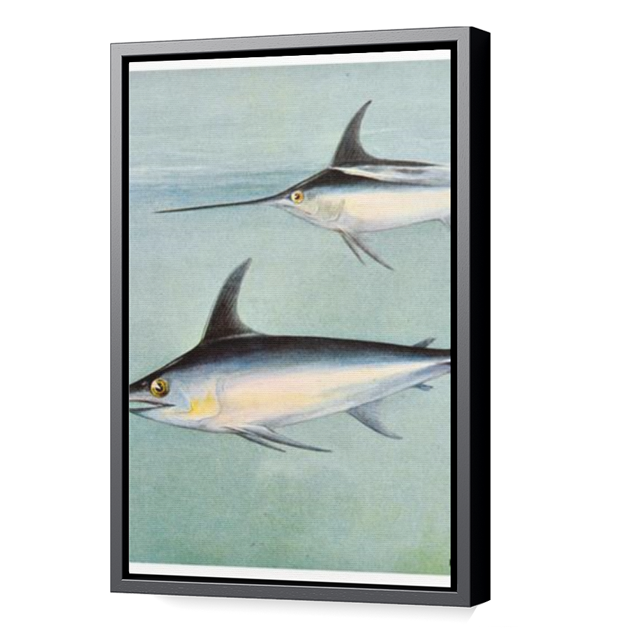 Thumbnail for Canvas - Black Floating Frame
