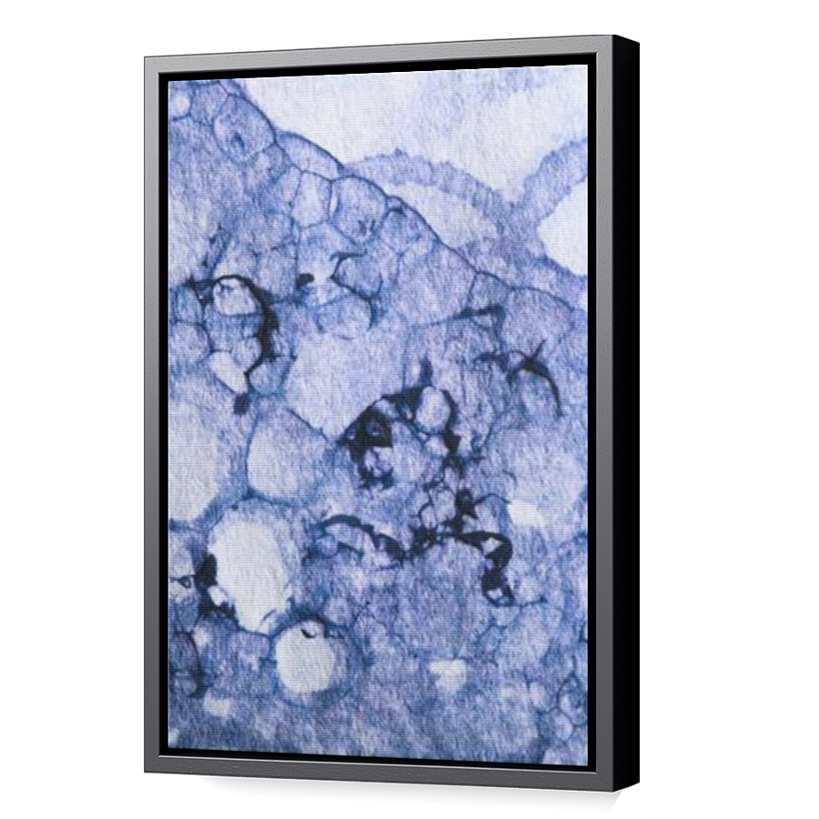 Thumbnail for Canvas - Black Floating Frame