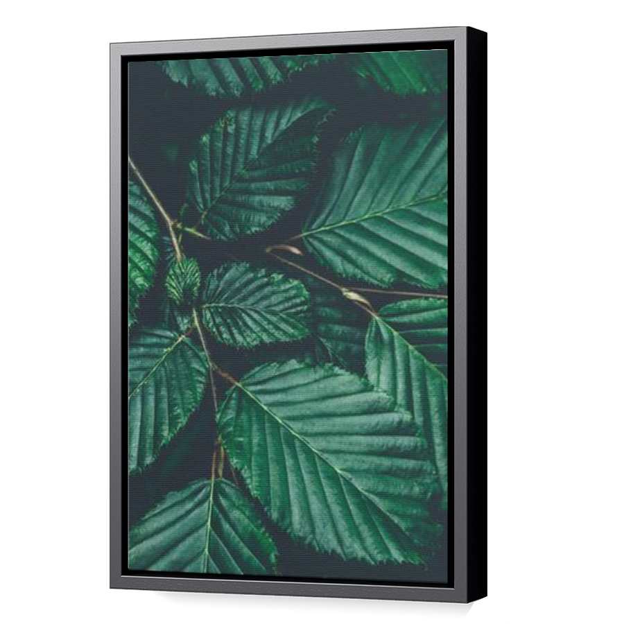 Thumbnail for Canvas - Black Floating Frame