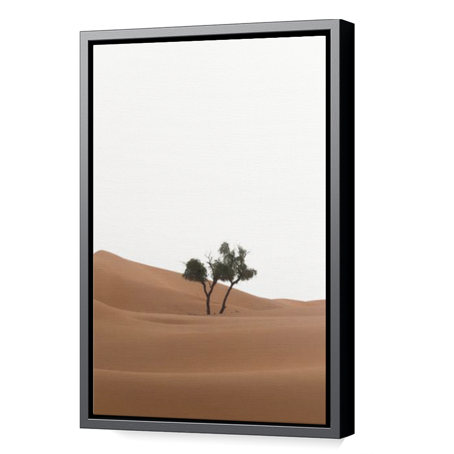 Thumbnail for Canvas - Black Floating Frame