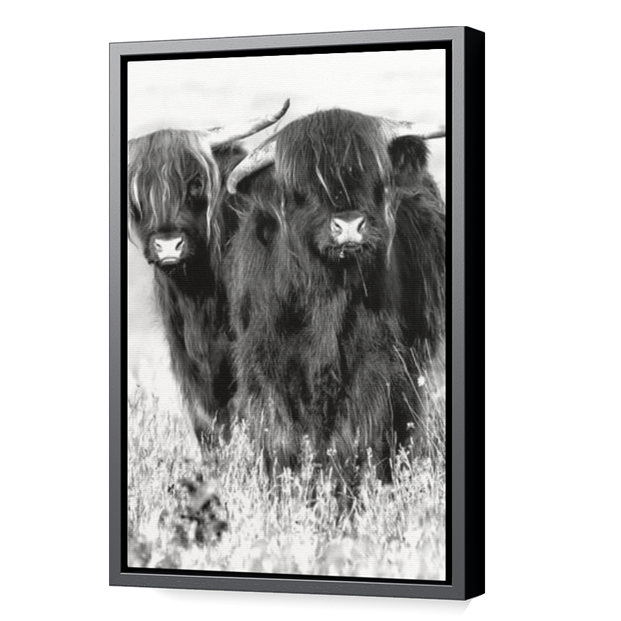 Thumbnail for Canvas - Black Floating Frame