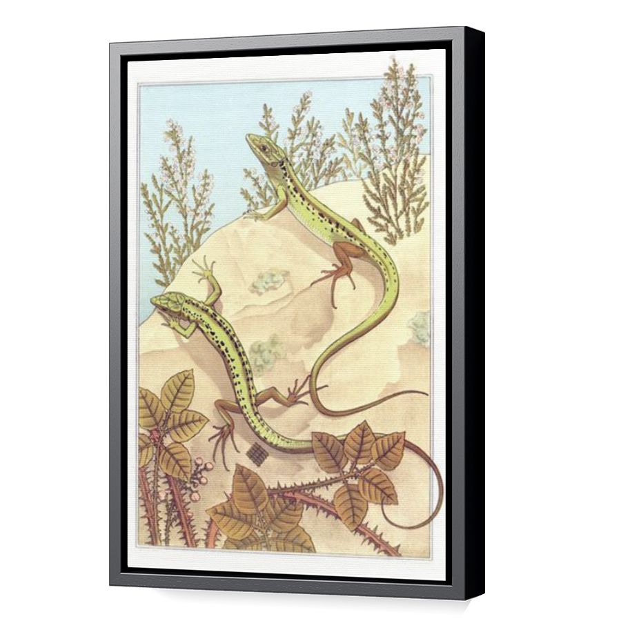 Thumbnail for Canvas - Black Floating Frame