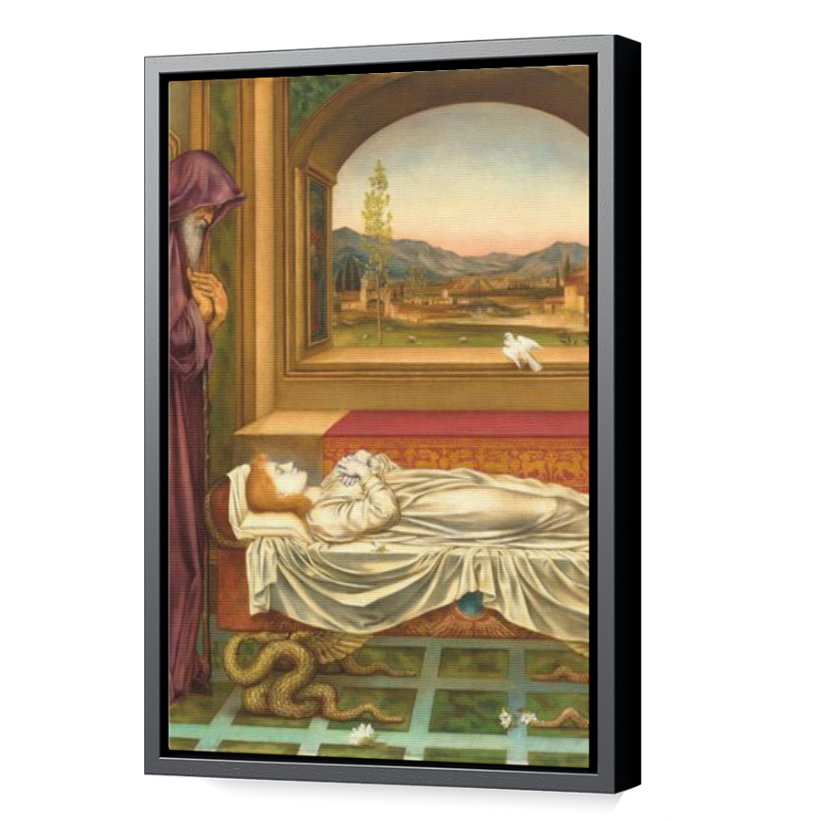 Thumbnail for Canvas - Black Floating Frame