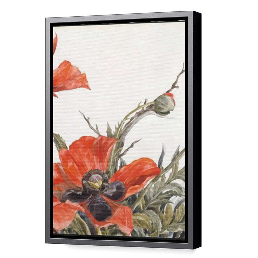Thumbnail for Canvas - Black Floating Frame