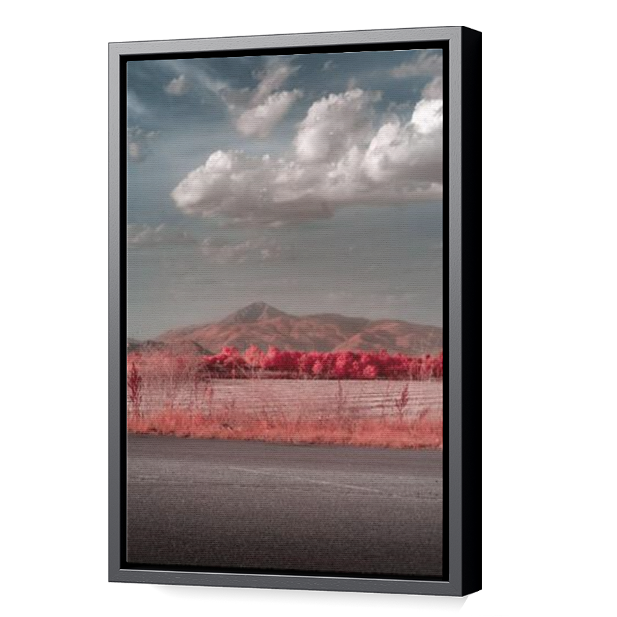 Thumbnail for Canvas - Black Floating Frame