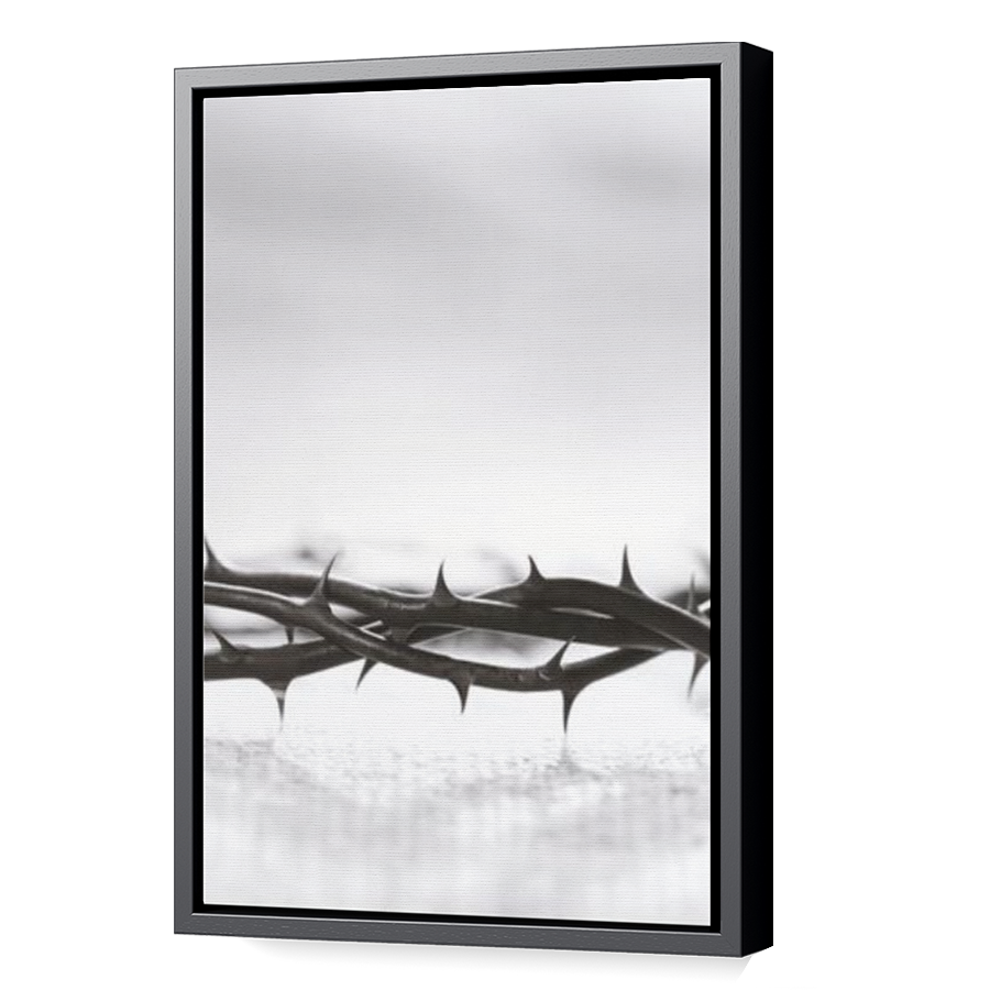 Thumbnail for Canvas - Black Floating Frame