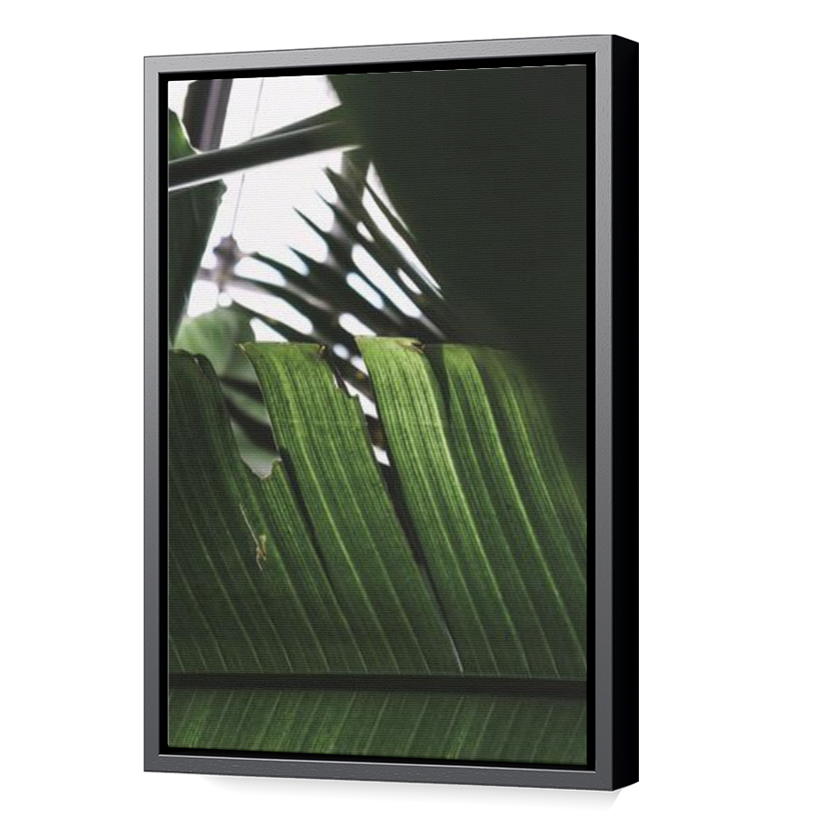 Thumbnail for Canvas - Black Floating Frame