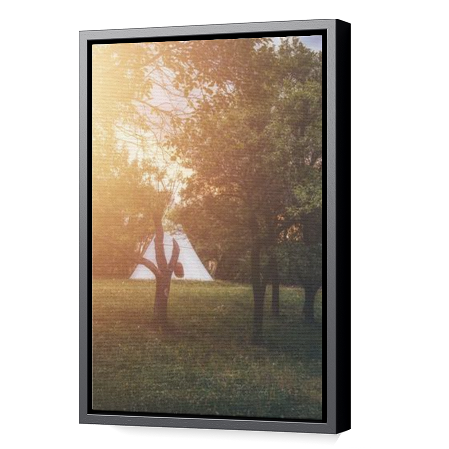Thumbnail for Canvas - Black Floating Frame