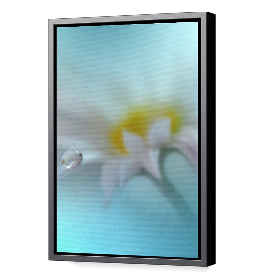 Thumbnail for Canvas - Black Floating Frame