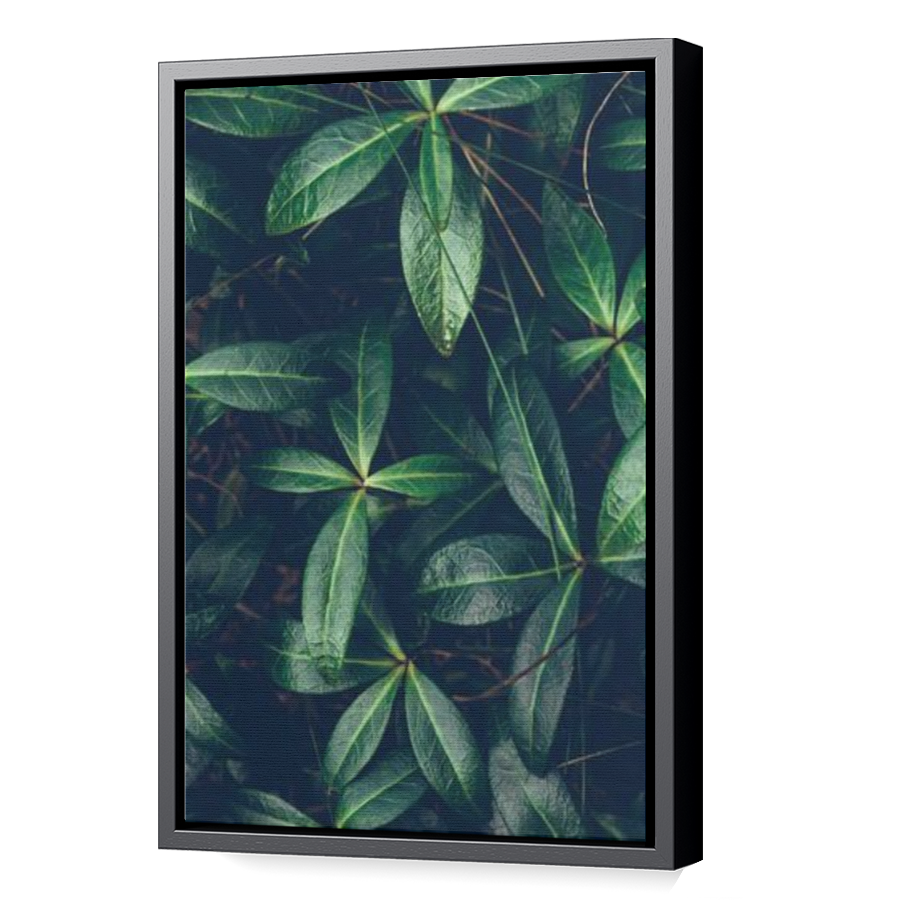 Thumbnail for Canvas - Black Floating Frame