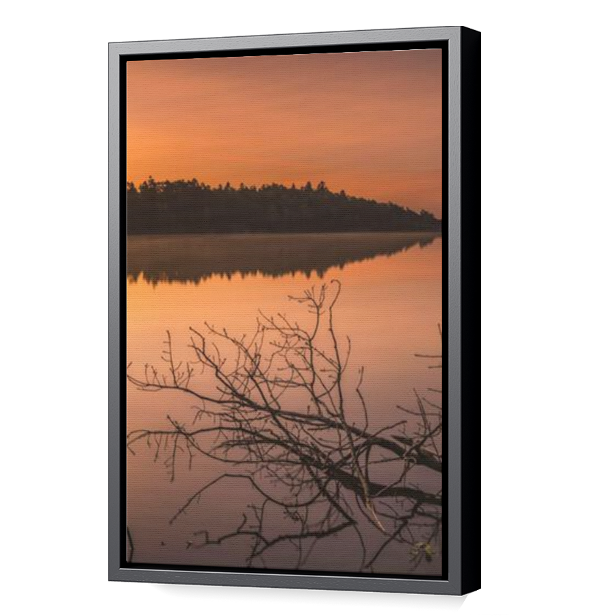 Thumbnail for Canvas - Black Floating Frame