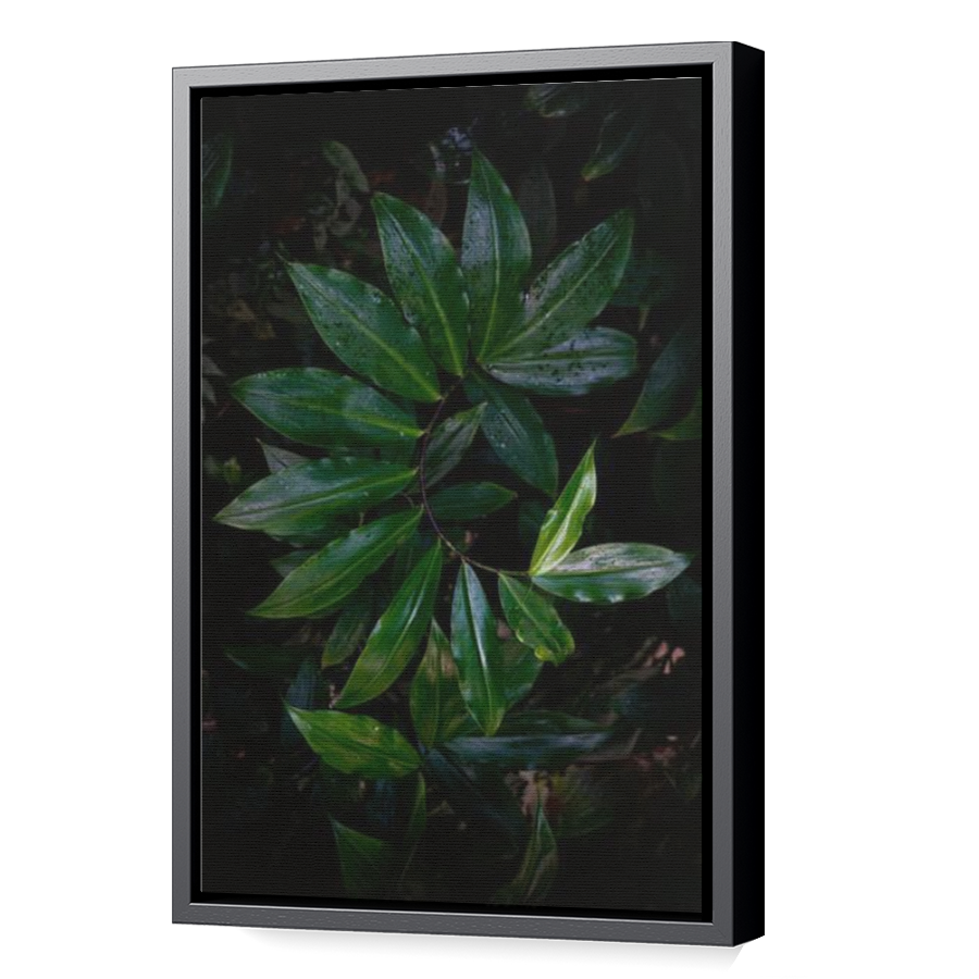 Thumbnail for Canvas - Black Floating Frame