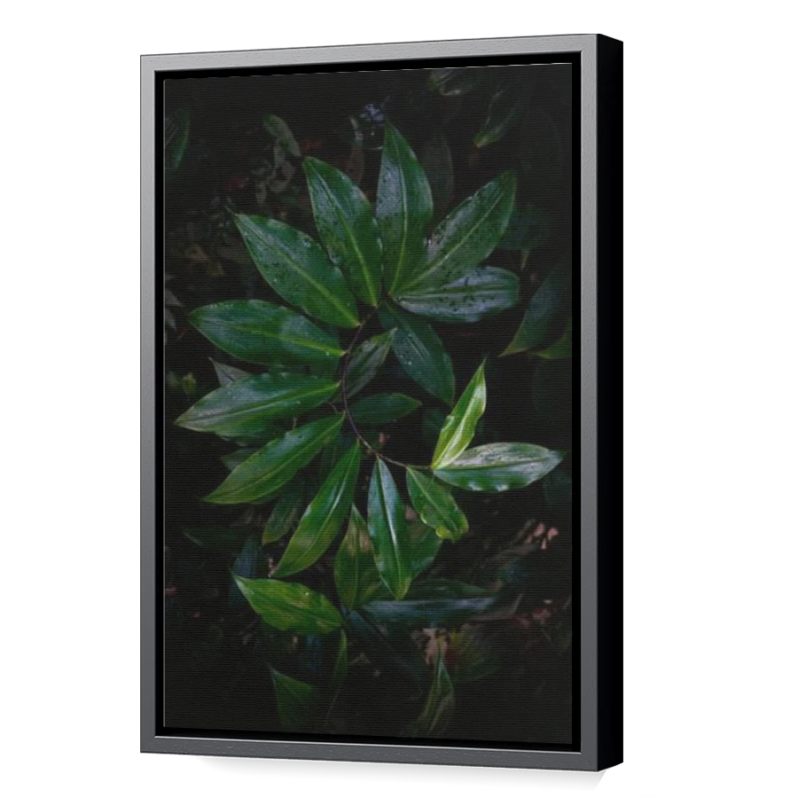 Thumbnail for Canvas - Black Floating Frame
