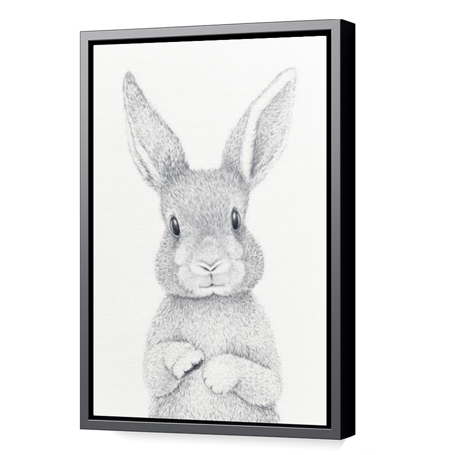 Thumbnail for Canvas - Black Floating Frame