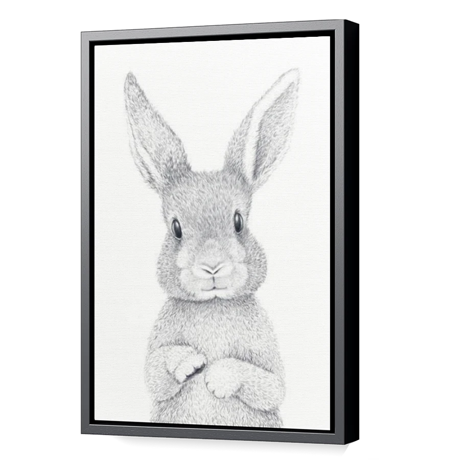 Thumbnail for Canvas - Black Floating Frame