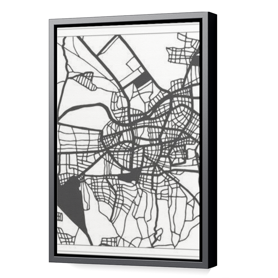 Thumbnail for Canvas - Black Floating Frame