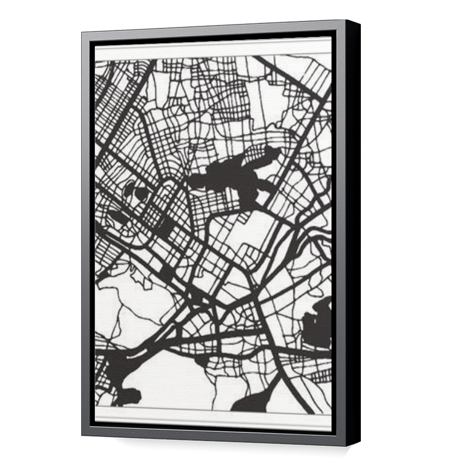 Thumbnail for Canvas - Black Floating Frame