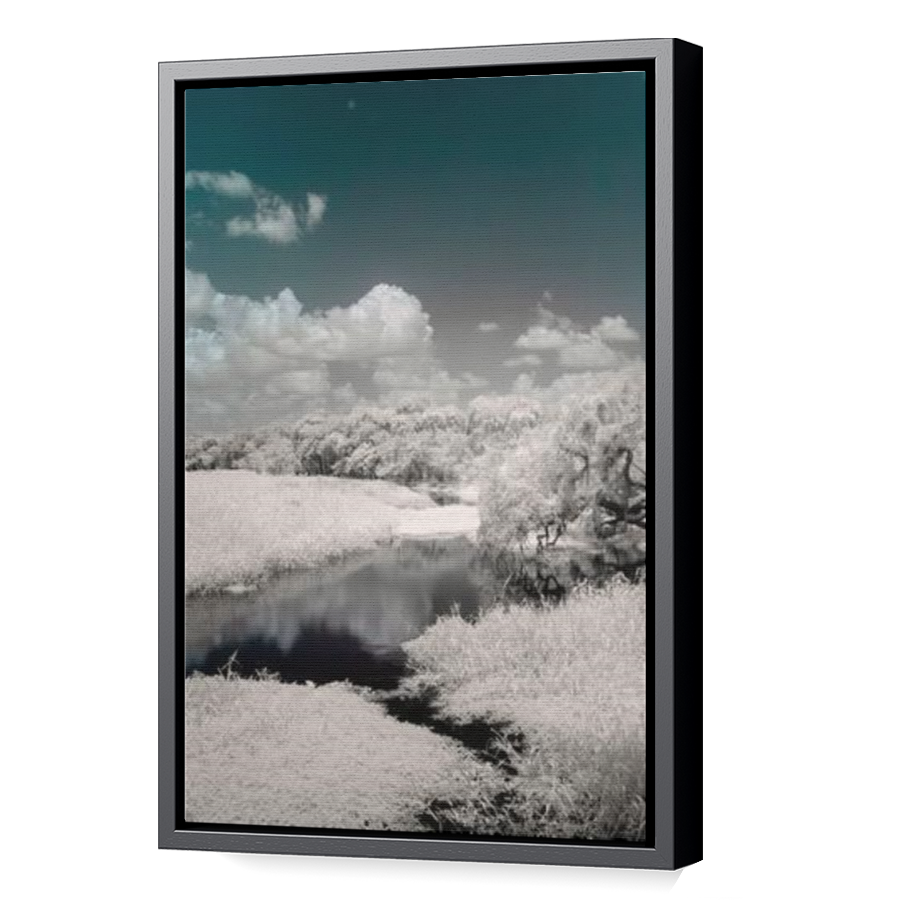 Thumbnail for Canvas - Black Floating Frame