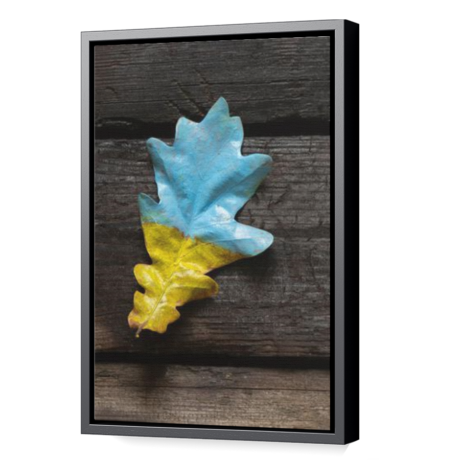 Thumbnail for Canvas - Black Floating Frame