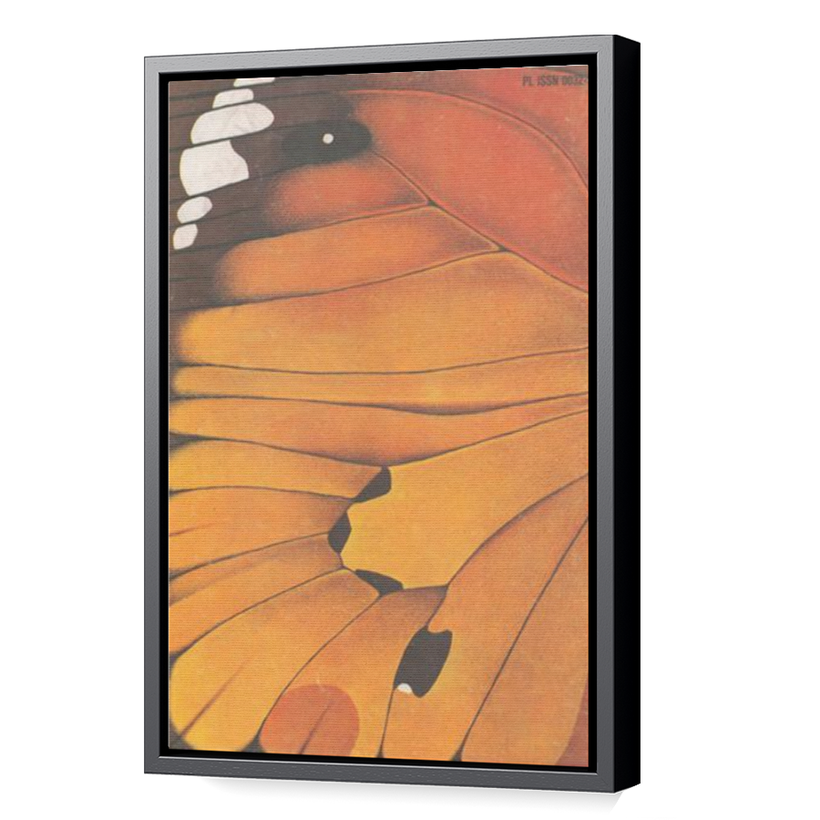 Thumbnail for Canvas - Black Floating Frame