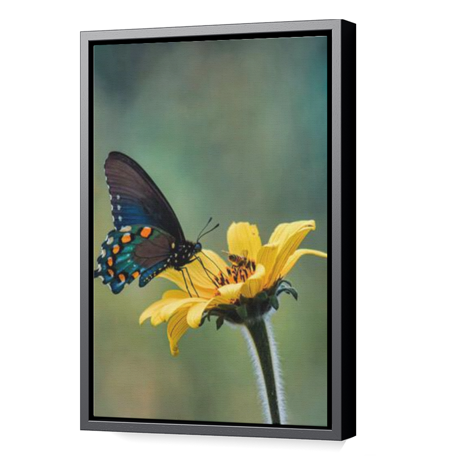 Thumbnail for Canvas - Black Floating Frame