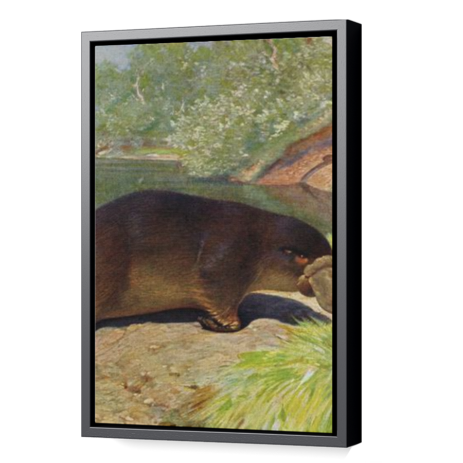 Thumbnail for Canvas - Black Floating Frame