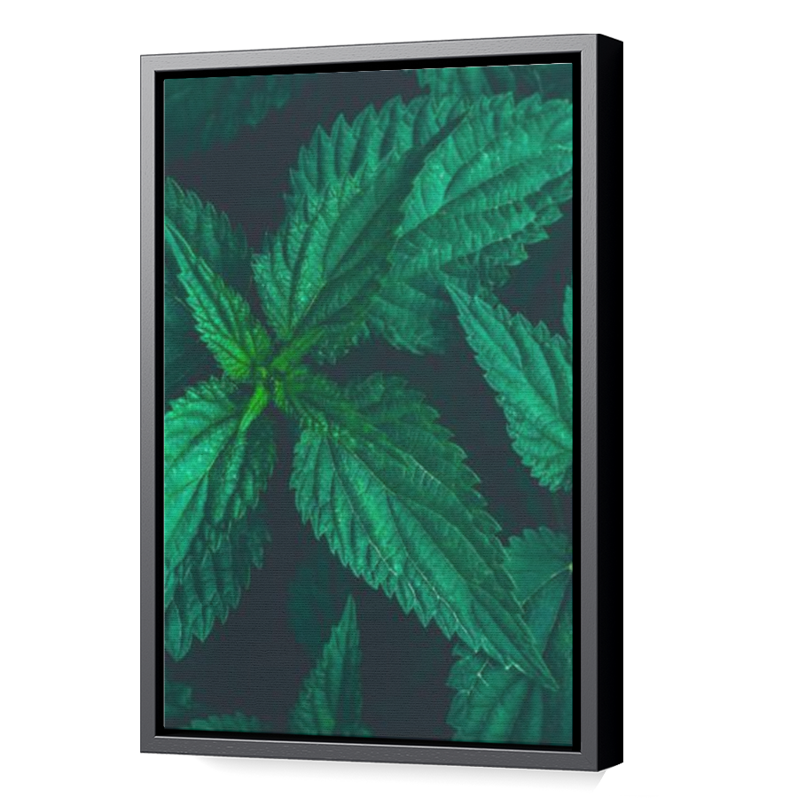 Thumbnail for Canvas - Black Floating Frame