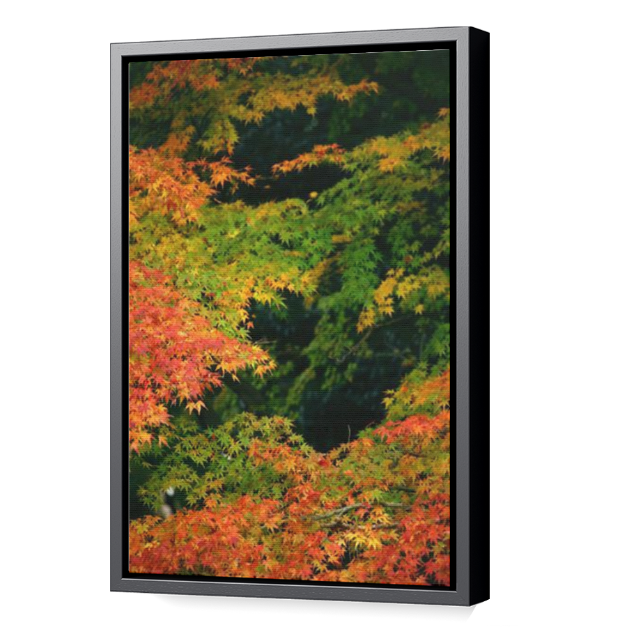 Thumbnail for Canvas - Black Floating Frame
