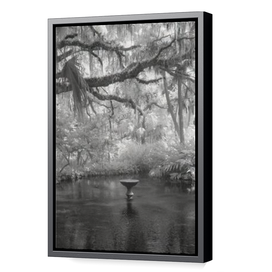 Thumbnail for Canvas - Black Floating Frame