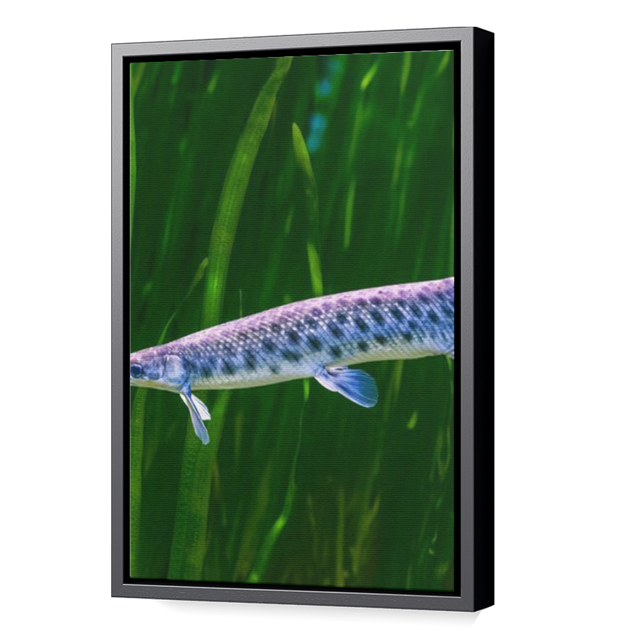 Thumbnail for Canvas - Black Floating Frame