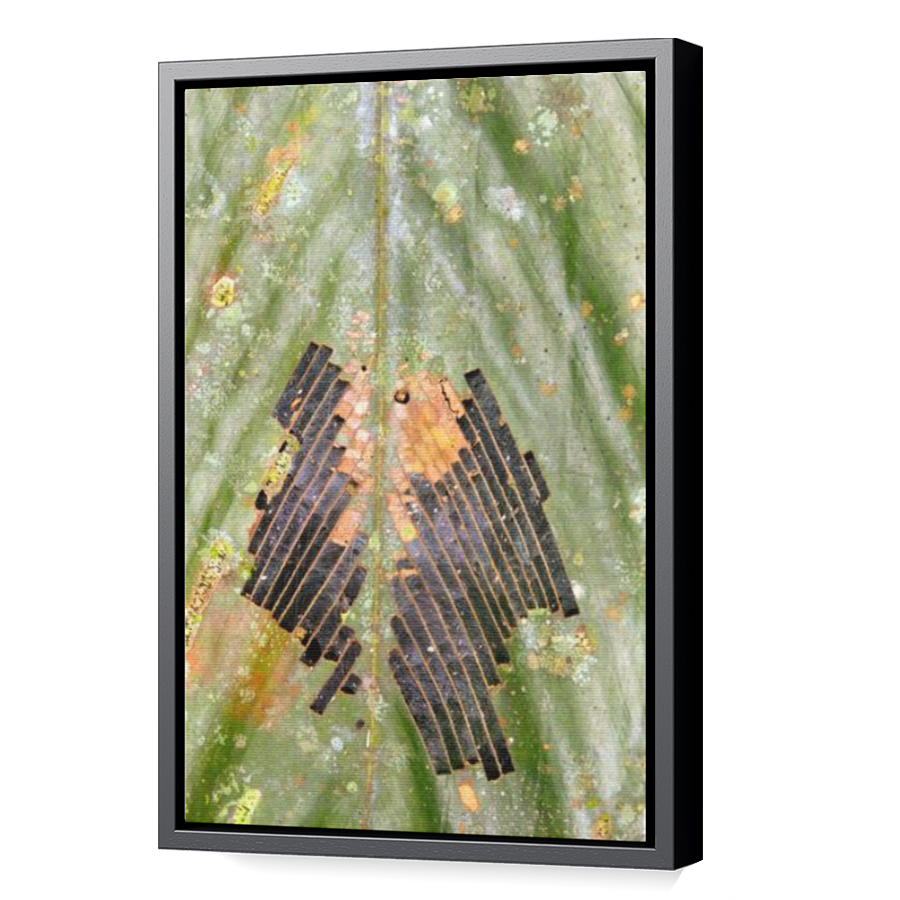 Thumbnail for Canvas - Black Floating Frame