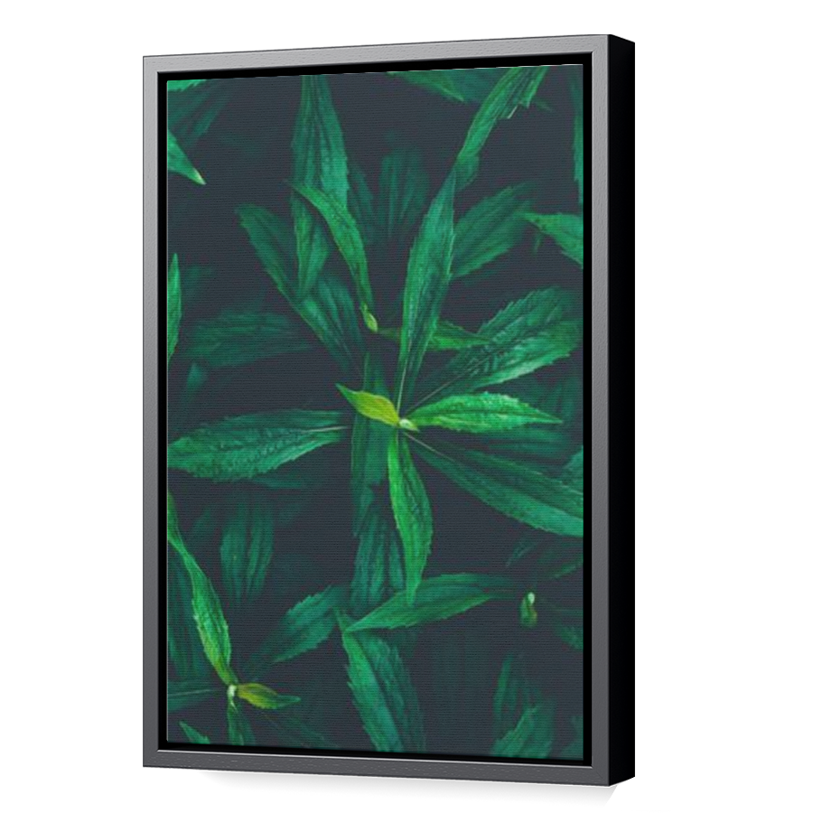Thumbnail for Canvas - Black Floating Frame