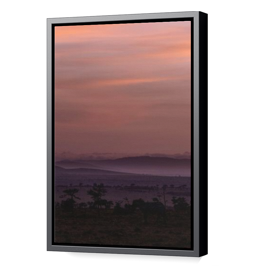 Thumbnail for Canvas - Black Floating Frame