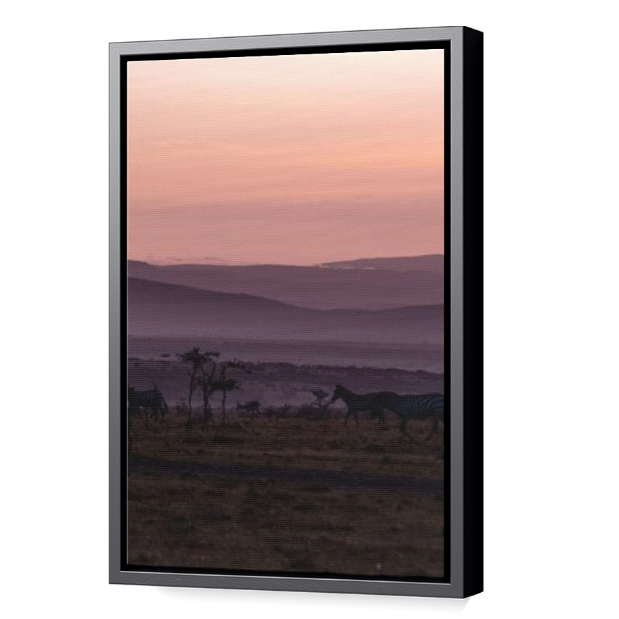 Thumbnail for Canvas - Black Floating Frame