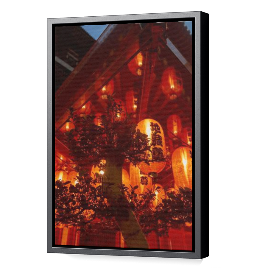 Thumbnail for Canvas - Black Floating Frame