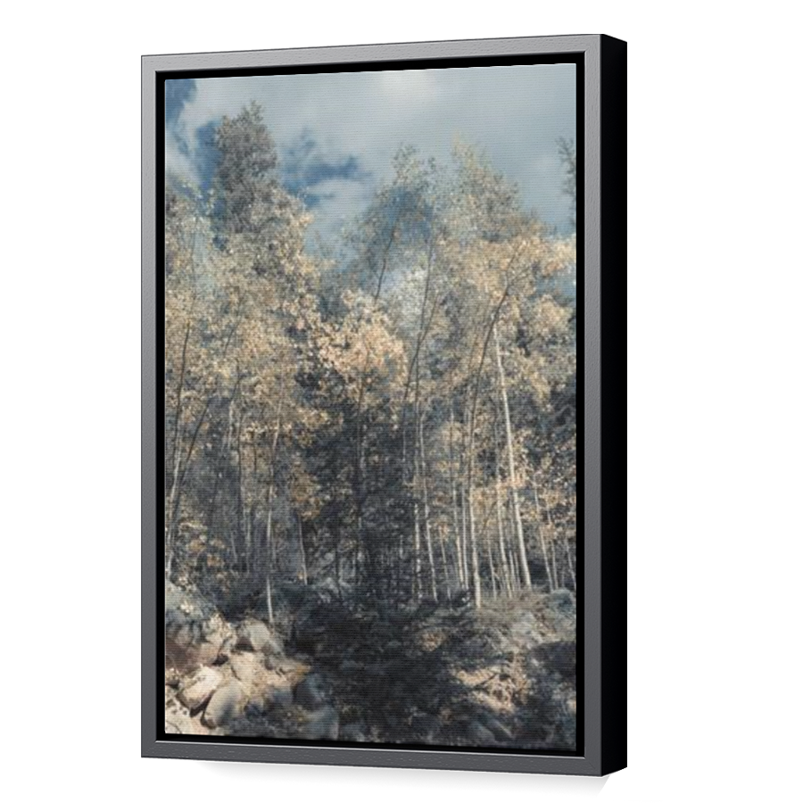 Thumbnail for Canvas - Black Floating Frame