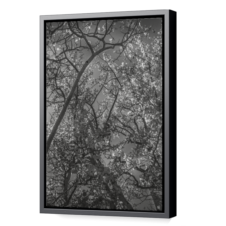 Thumbnail for Canvas - Black Floating Frame