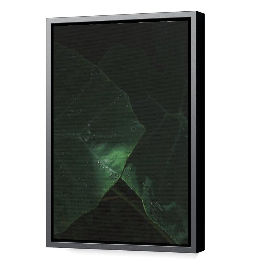 Thumbnail for Canvas - Black Floating Frame