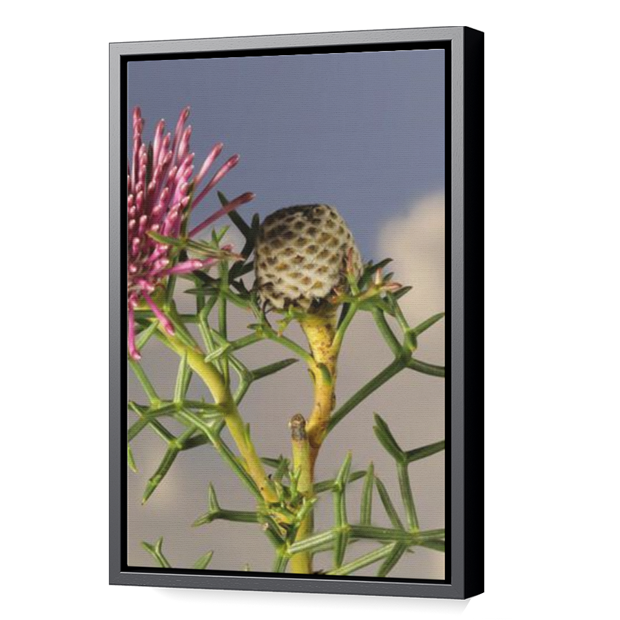 Thumbnail for Canvas - Black Floating Frame